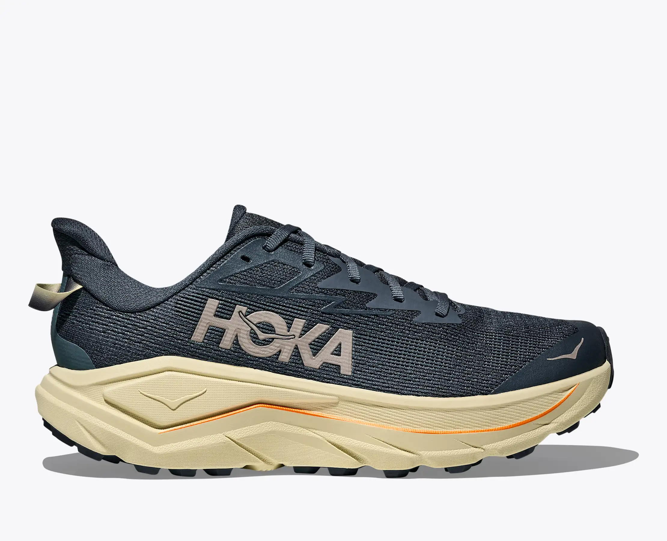 Hoka Men's Challenger 8 Faded Navy Pampass Grass - Image 2